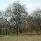 Landschaft Mödling nahe Burg Lichtenstein