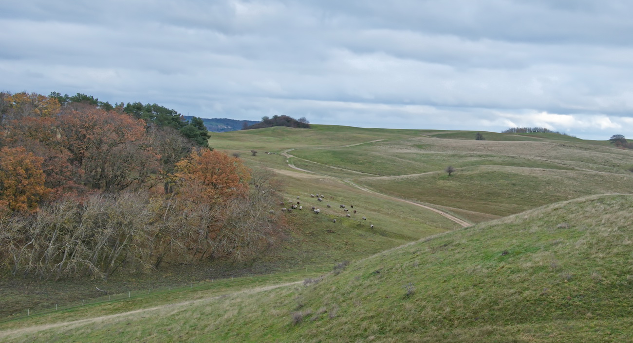 Landschaft Mönchgut/Rügen