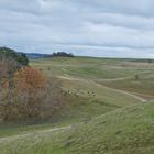 Landschaft Mönchgut/Rügen