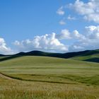 Landschaft-Mongolei