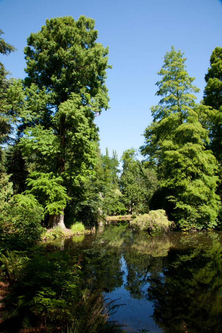 Landschaft Museum Hombroich 1