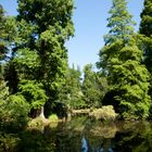 Landschaft Museum Hombroich 1