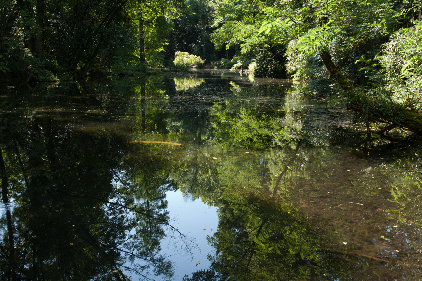 Landschaft Museum Hombroich 2