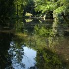 Landschaft Museum Hombroich 2