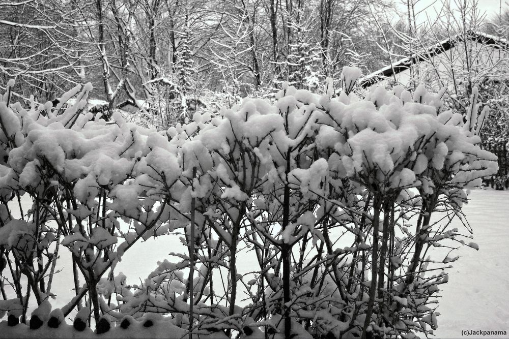 Landschaft nach Starkschneefall in Herten-Westerholt