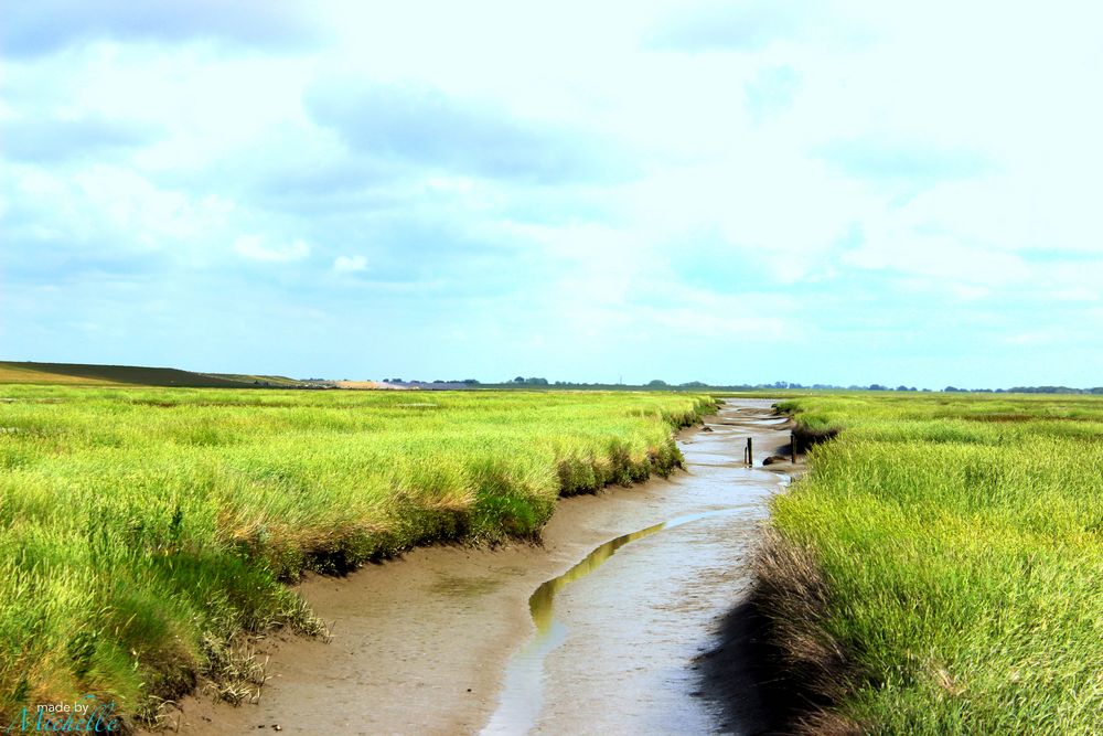 Landschaft, nähe Sylt.