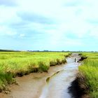 Landschaft, nähe Sylt.