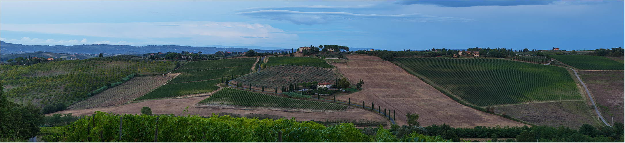 Landschaft nahe San Gimignano 2