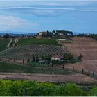 Landschaft nahe San Gimignano 2