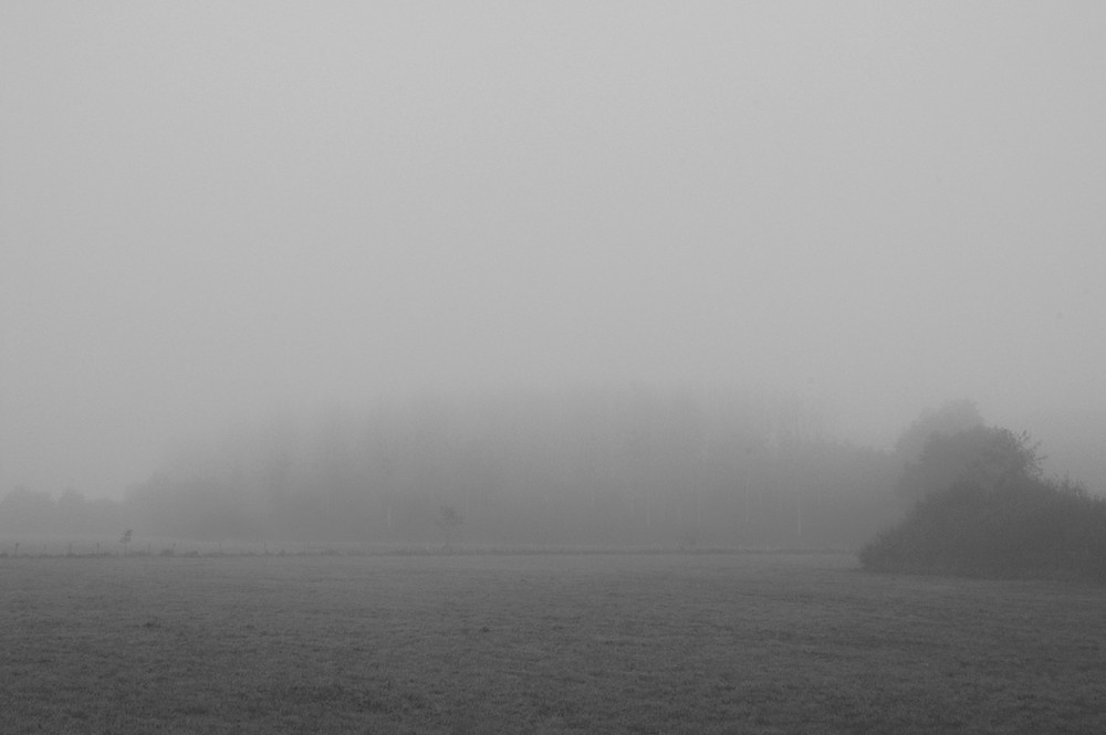 landschaft nebel