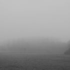 landschaft nebel