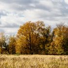 LANDSCHAFT NEBEN DEM SÜDRING