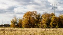 LANDSCHAFT NEBEN DEM SÜDRING