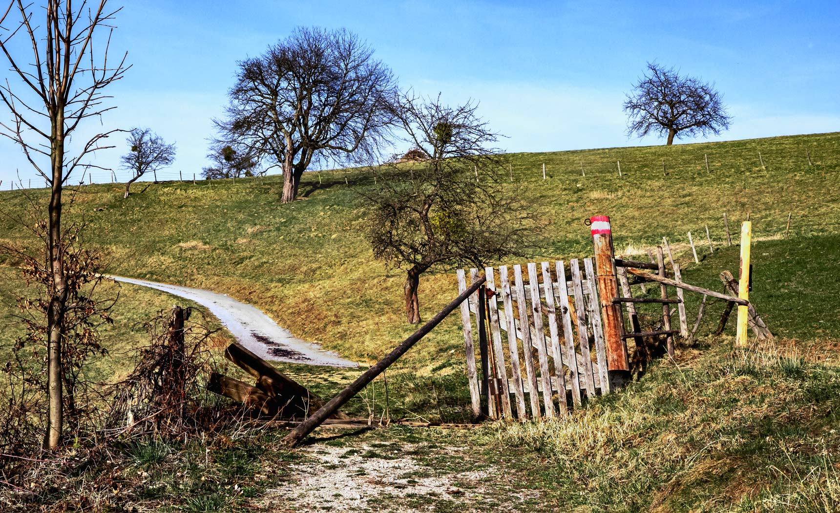 Landschaft oberhalb der Hundszahnwiese