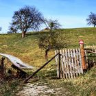 Landschaft oberhalb der Hundszahnwiese