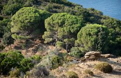 Landschaft oberhalb der Nordostküste bei Perdiki | Ikaria Griechenland 