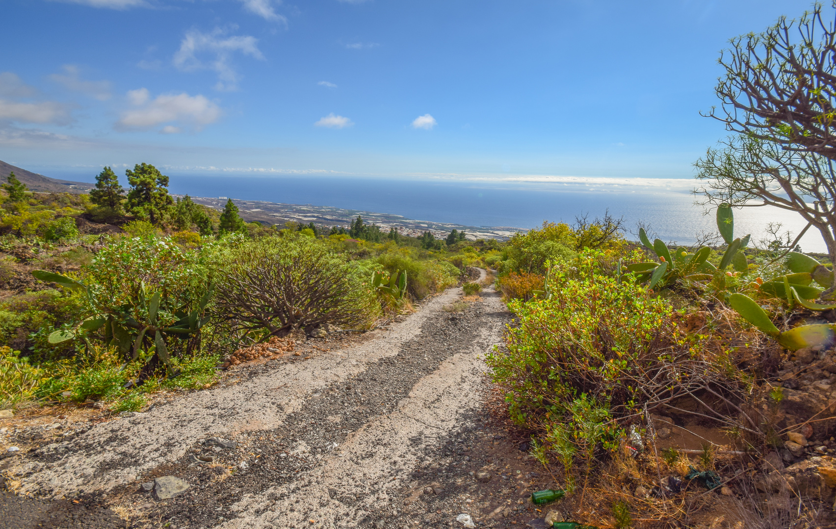 Landschaft oberhalb von Guia de Isora Teneriffa.