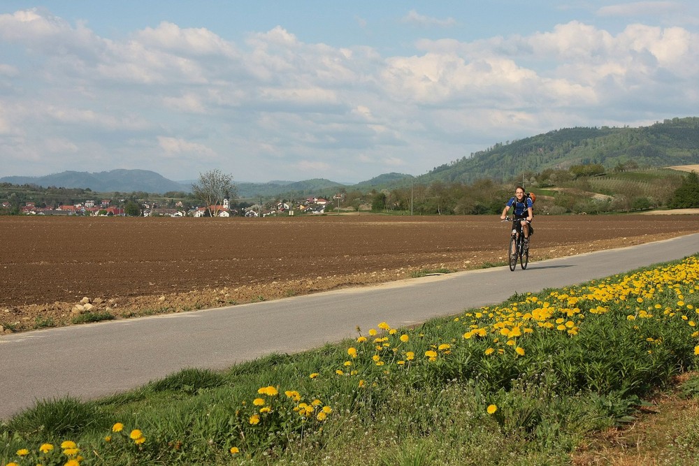 Landschaft ohne Profil