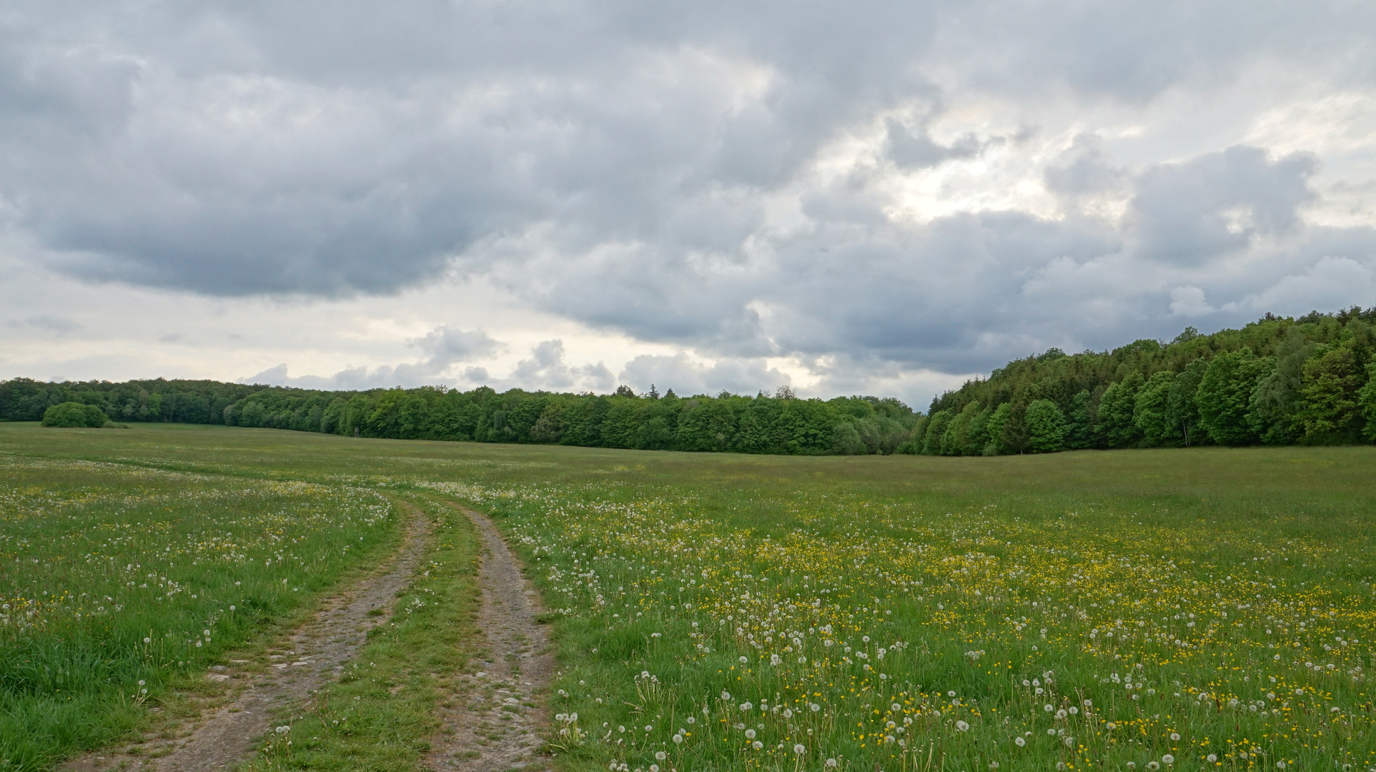 Landschaft (paisaje)