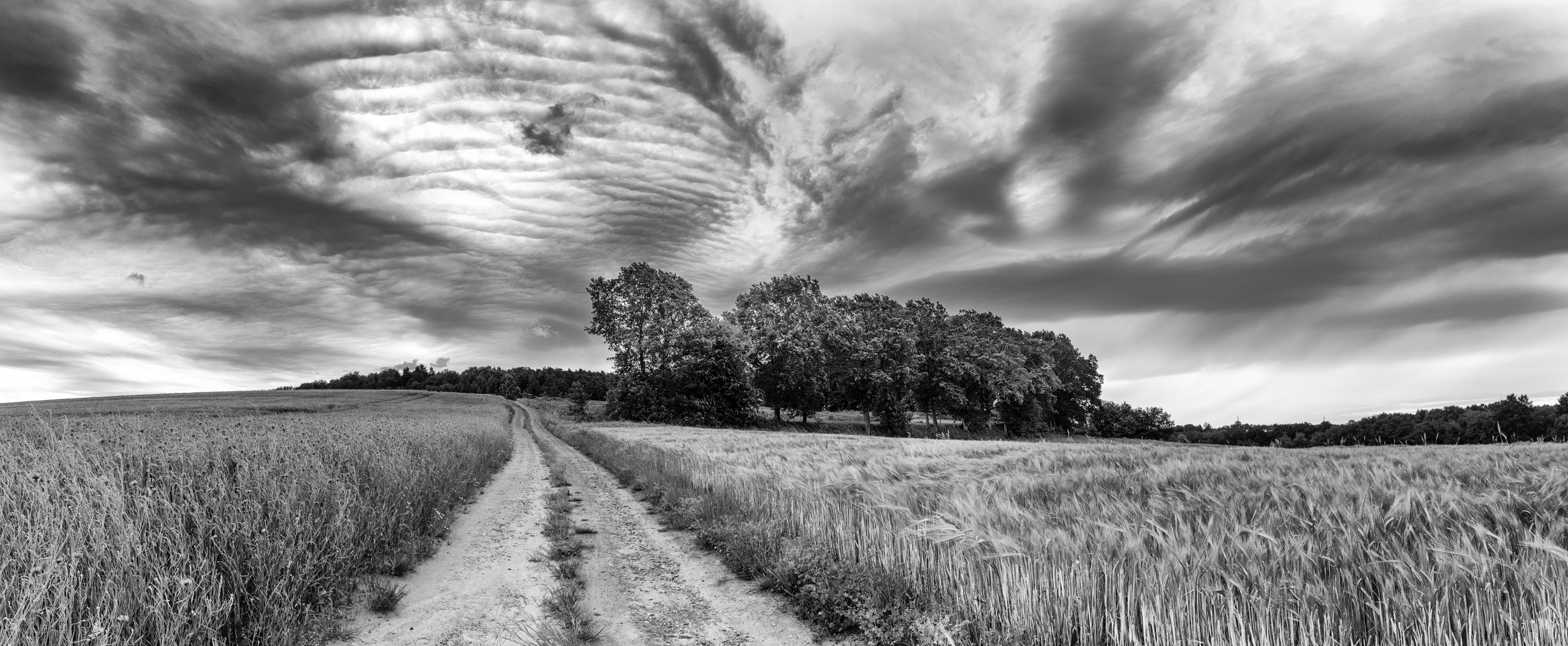 Landschaft Pfalz