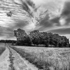 Landschaft Pfalz