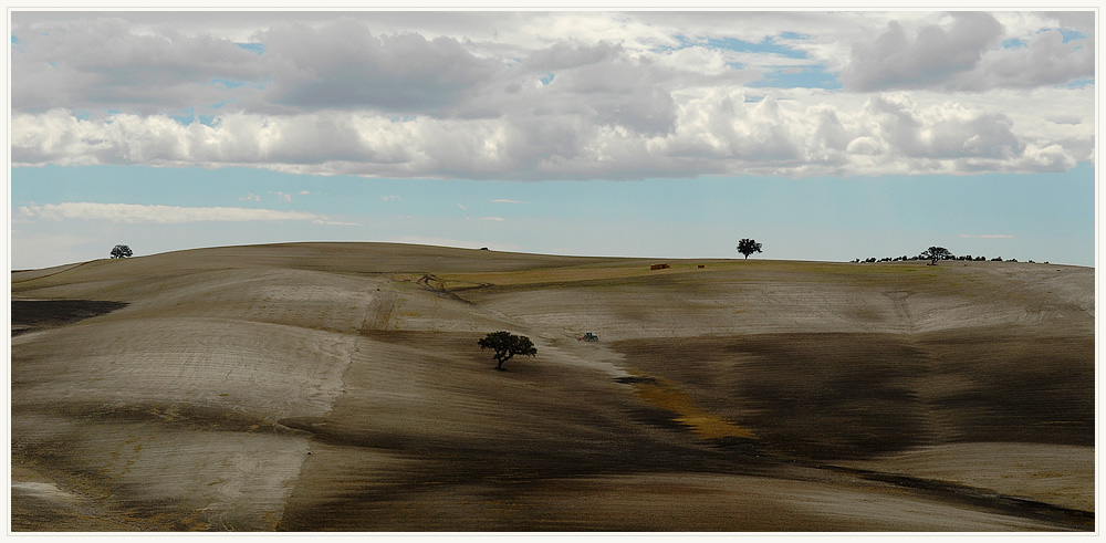 [ Landschaft pur ]