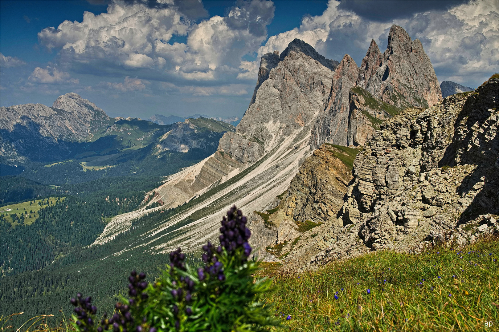 Landschaft pur