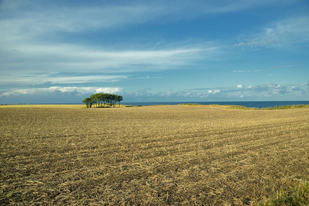 Landschaft pur