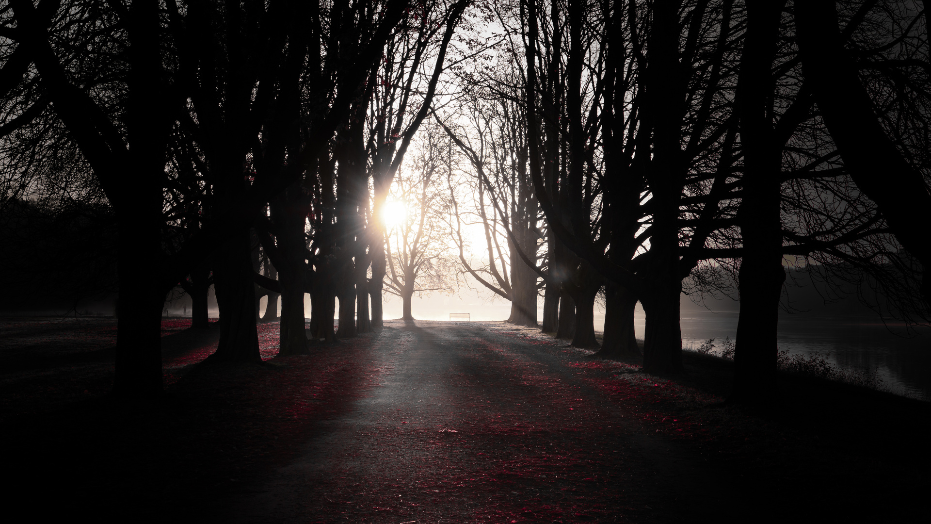 Landschaft Rot/Schwarz I