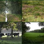 Landschaft rund um den Moorhof in Brokeloh.