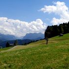 Landschaft rund um Schwarzenberg (Vorarlberg)