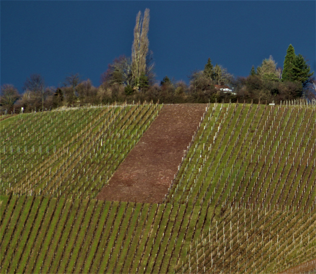 Landschaft s Impressionen