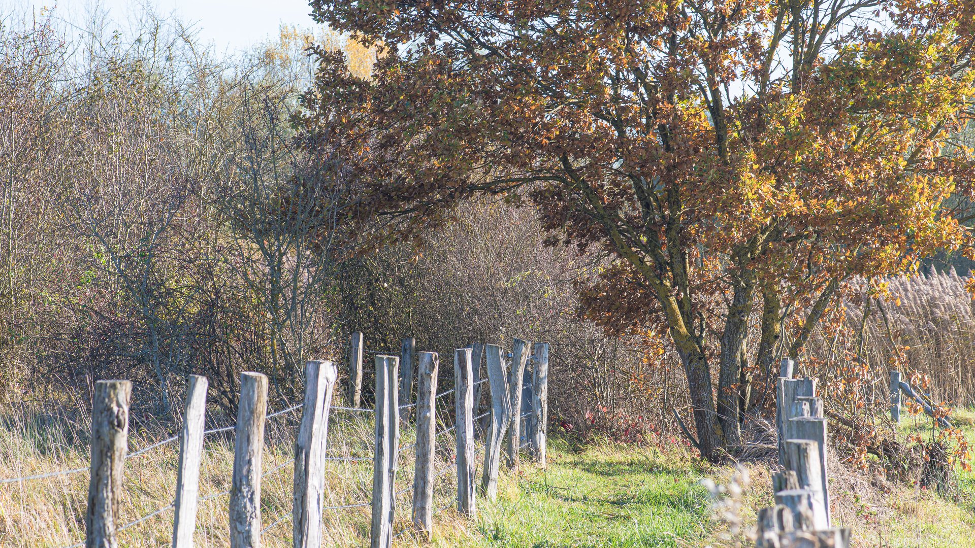 Landschaft Schifflange