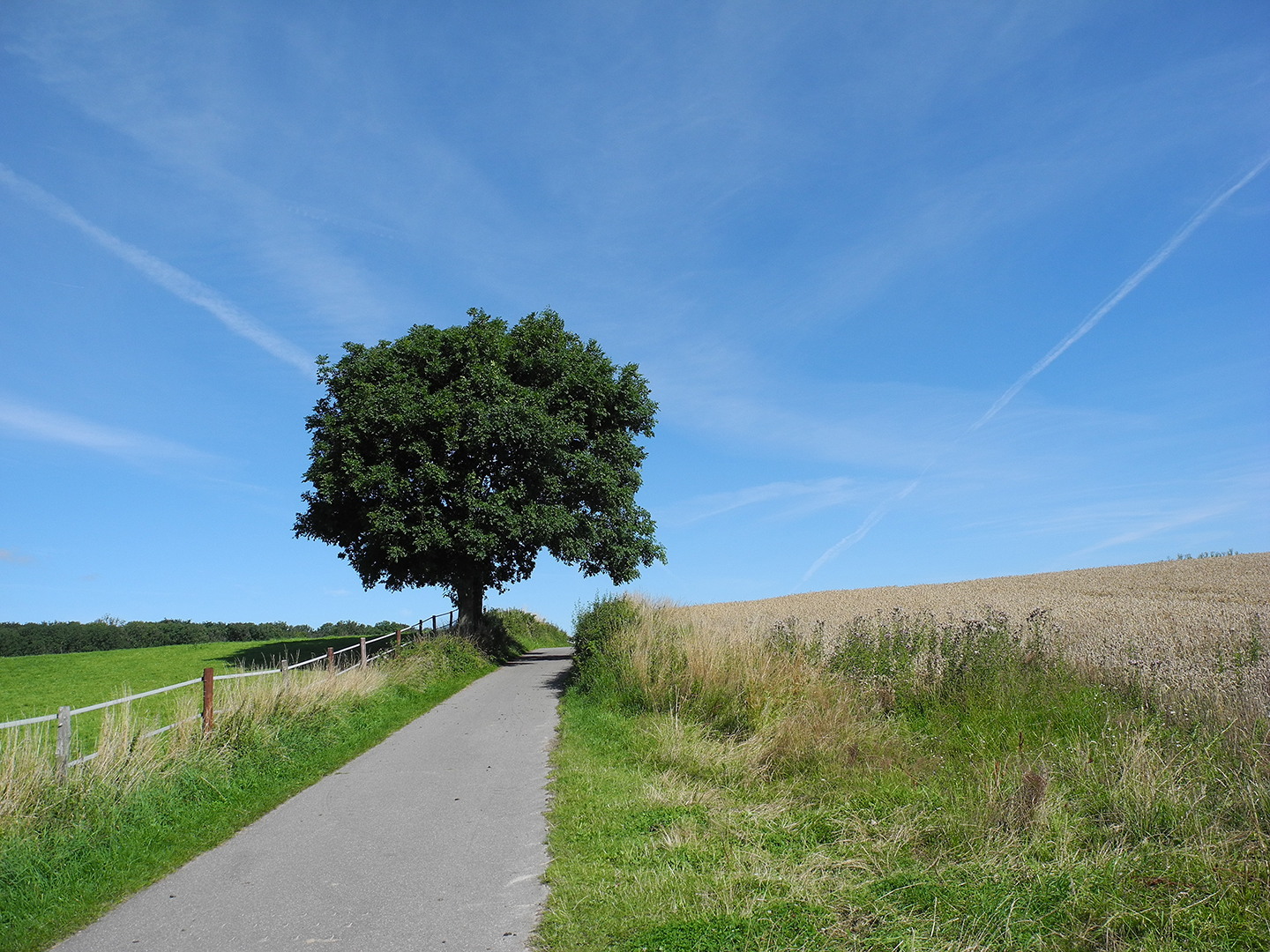 Landschaft Schleswig-Holstein (Damp)