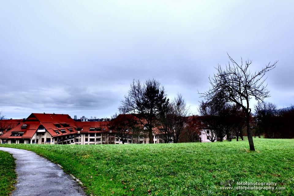 Landschaft . Schönberg