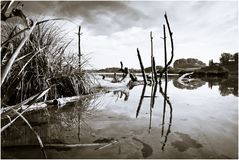 Landschaft - schwarz/weiß