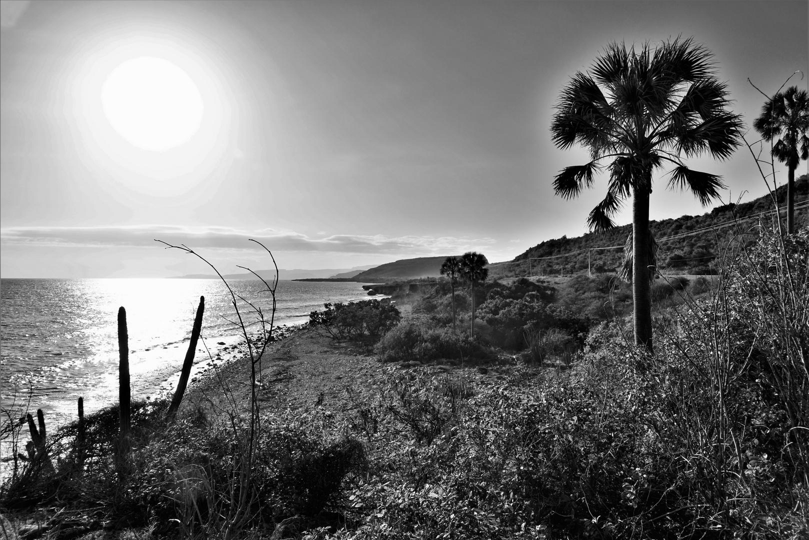 Landschaft schwarz/weiß 2 Foto &amp; Bild landschaft, bäume, licht Bilder