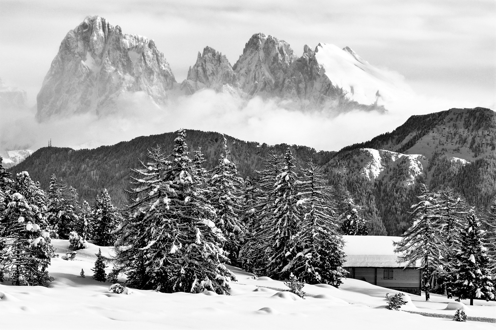 Landschaft schwarz/weiß 7 Foto & Bild | landschaft, bäume, wolken