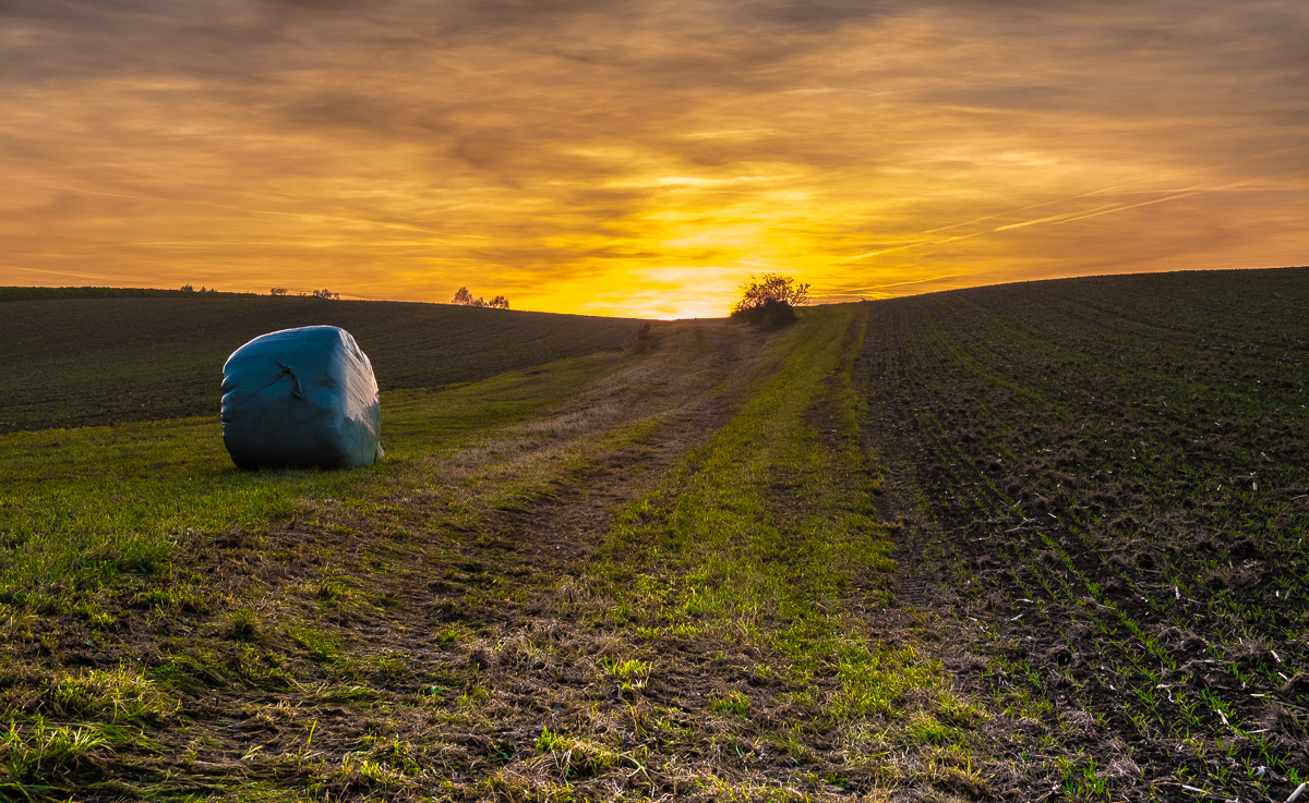 Landschaft Schwendi