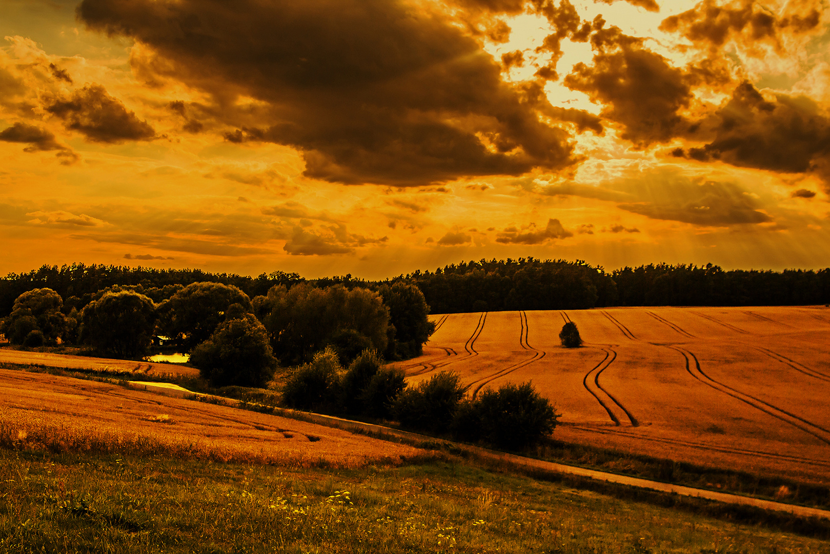 Landschaft Sichelreuth