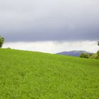 Landschaft Siebengebirge