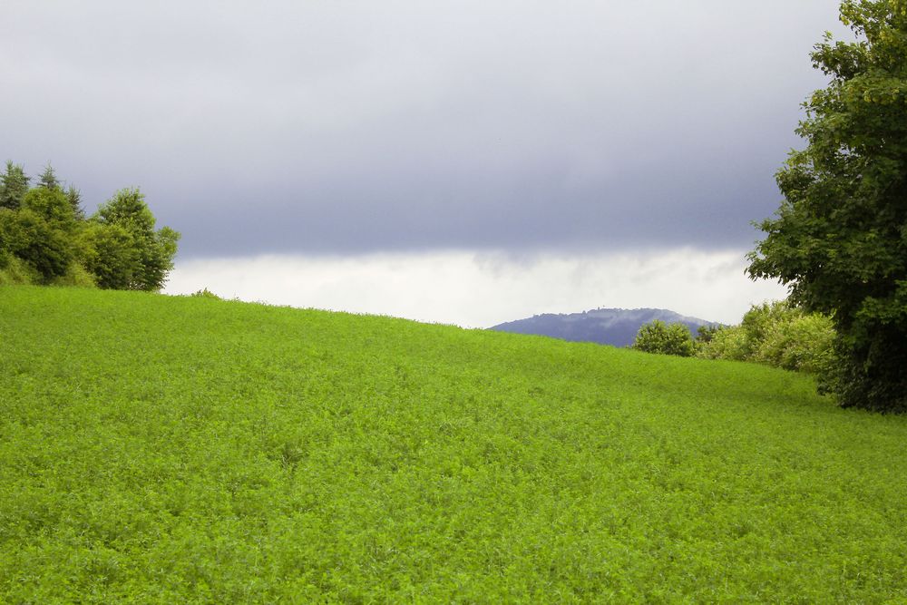 Landschaft Siebengebirge