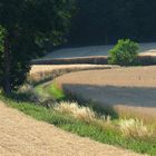 Landschaft Sommer 2021 003