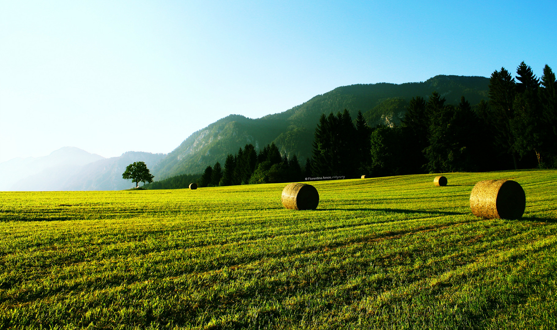 Landschaft | Sommer