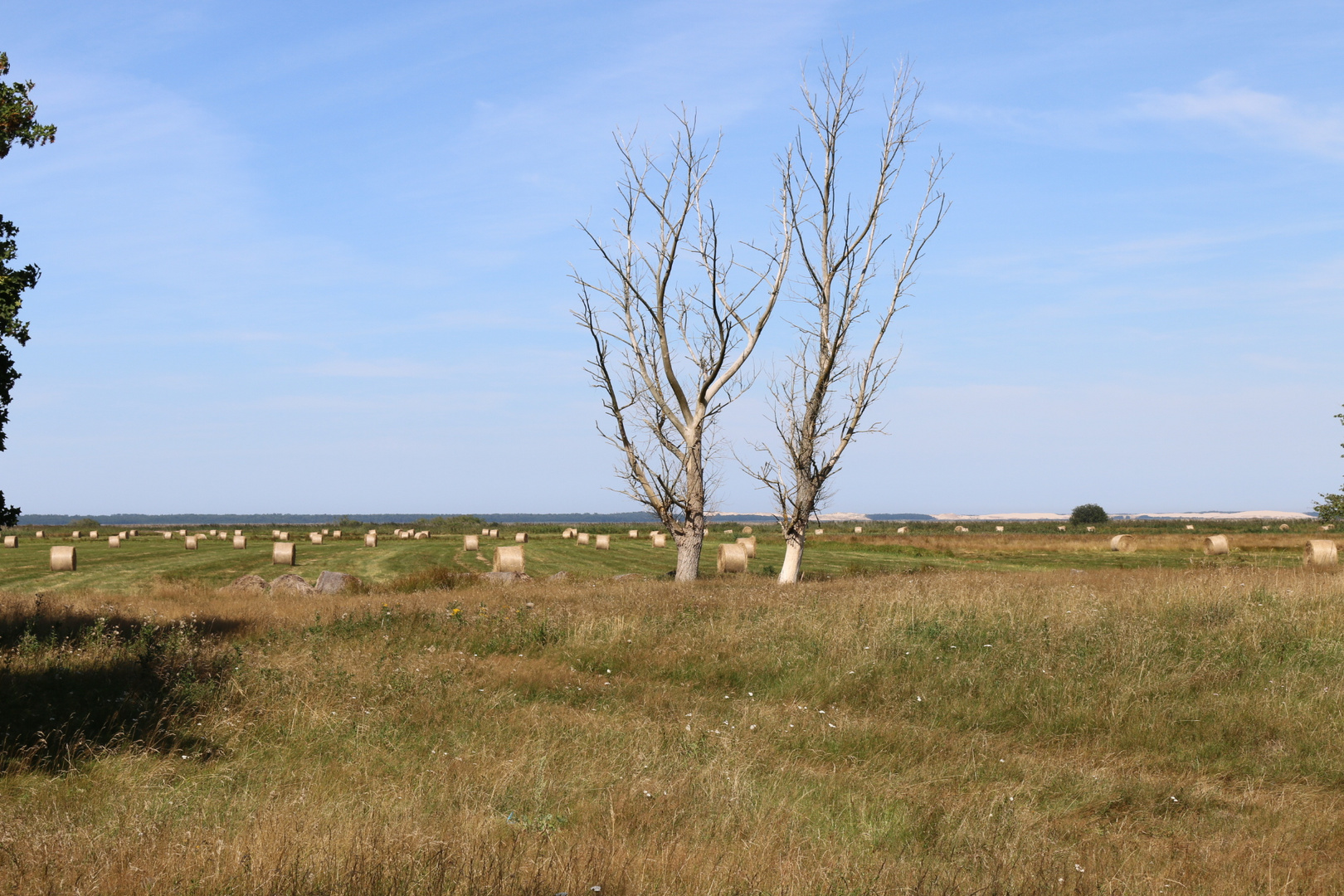 Landschaft Spätsommer