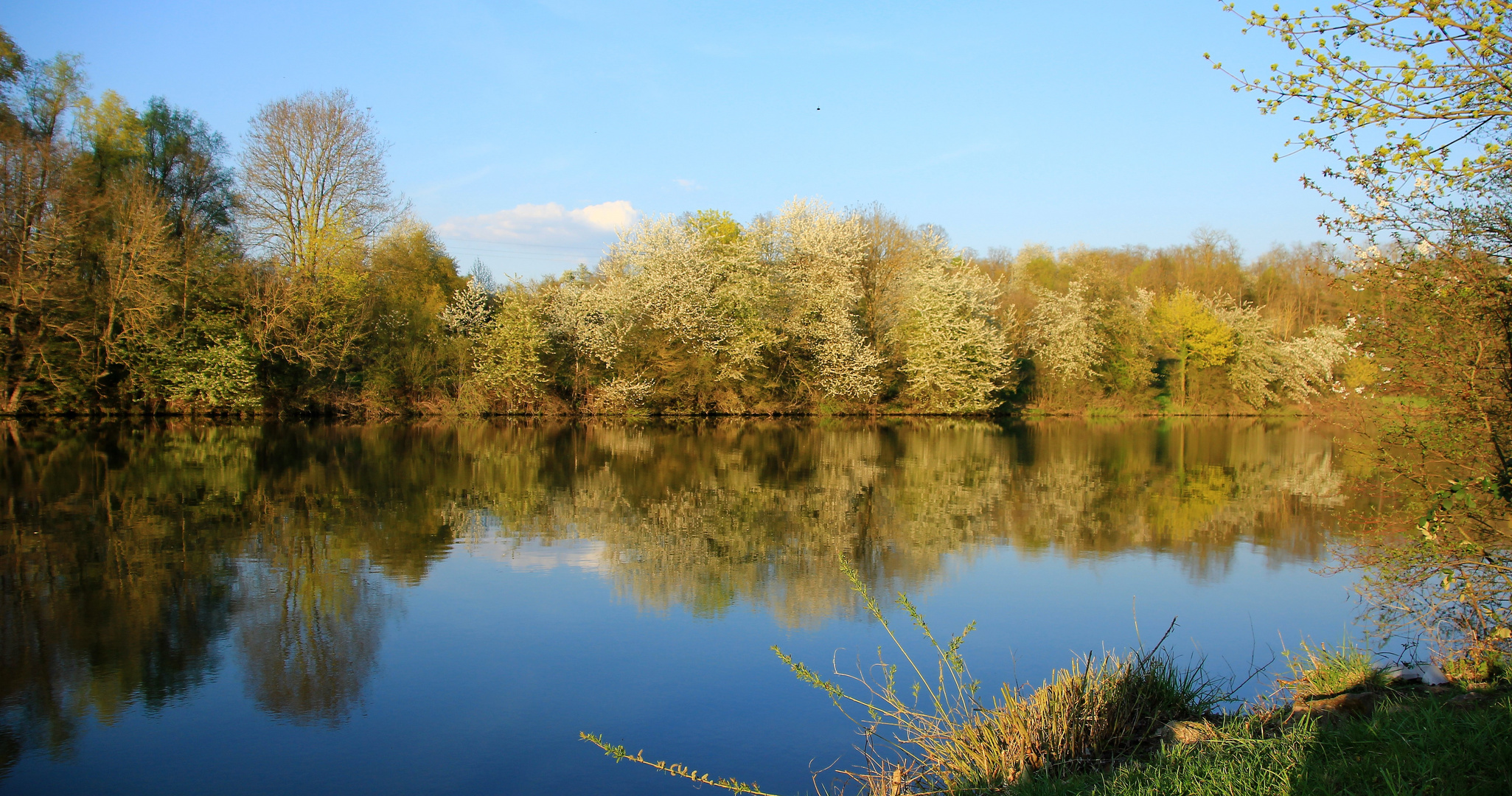 Landschaft-Spiegelung