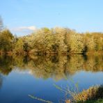 Landschaft-Spiegelung