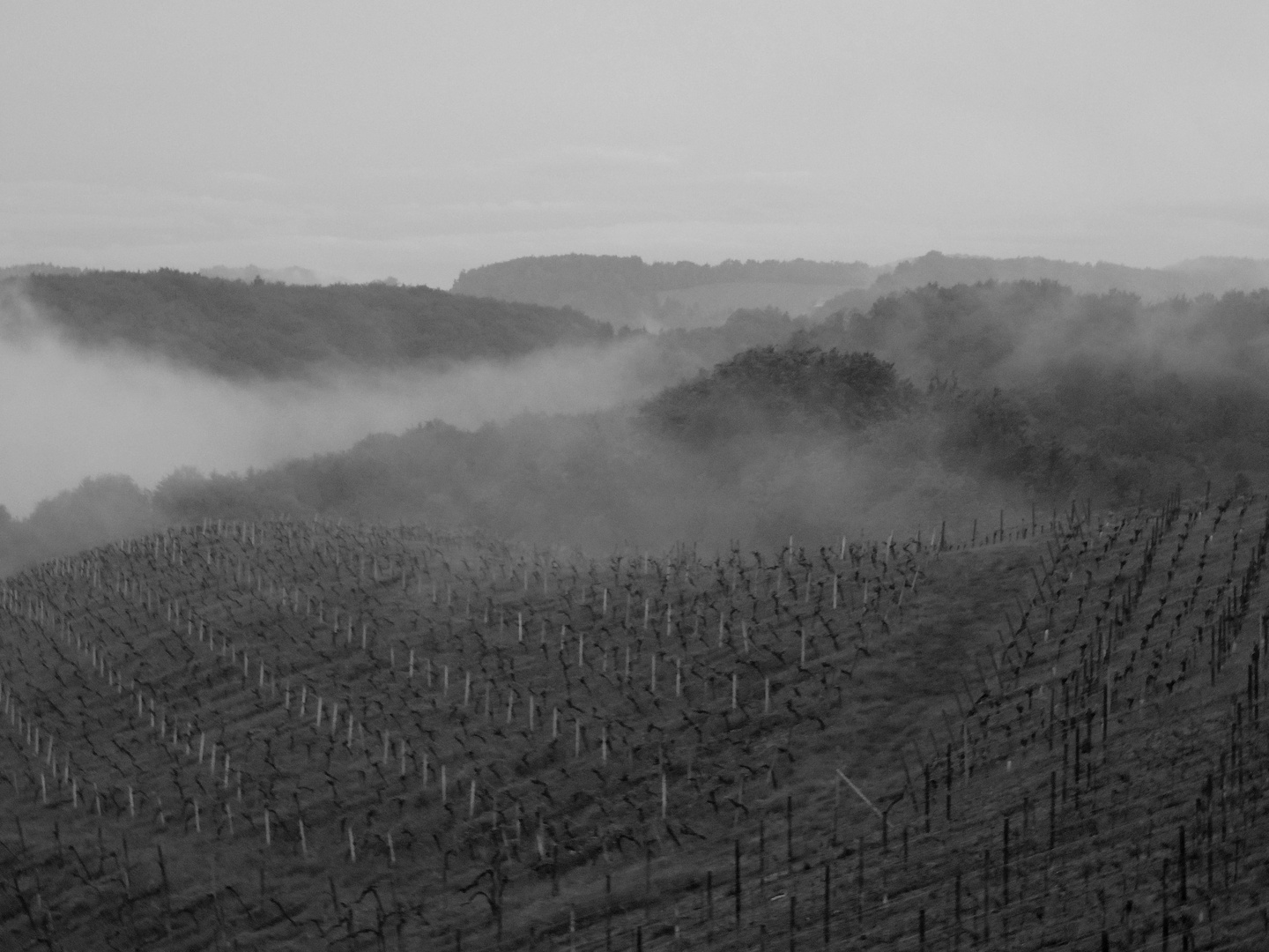 Landschaft Süd Steiermark - Jägerberg