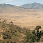 Landschaft südlich der Serengeti