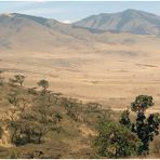 Landschaft südlich der Serengeti